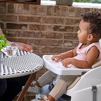 Comfortable Baby Seats: Ingenuity Baby Seat Collection for Ultimate Support