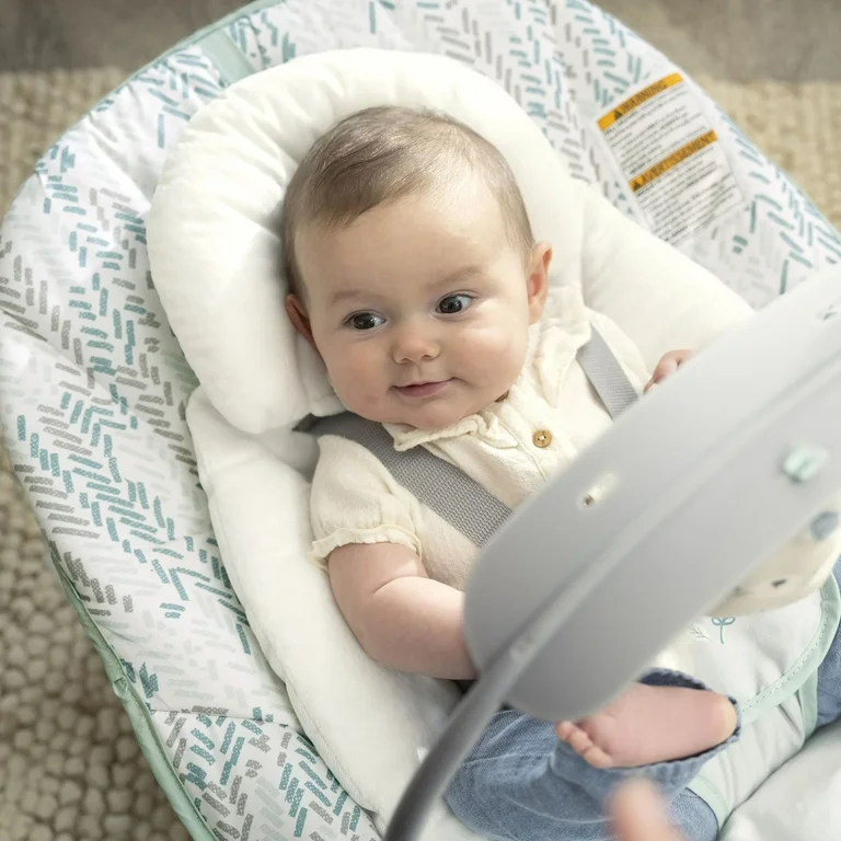 Ingenuity Babyschaukel: Global Baby Products for International Families