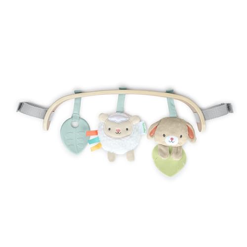 Ingenuity Baby Swing Replacement Toy Bar